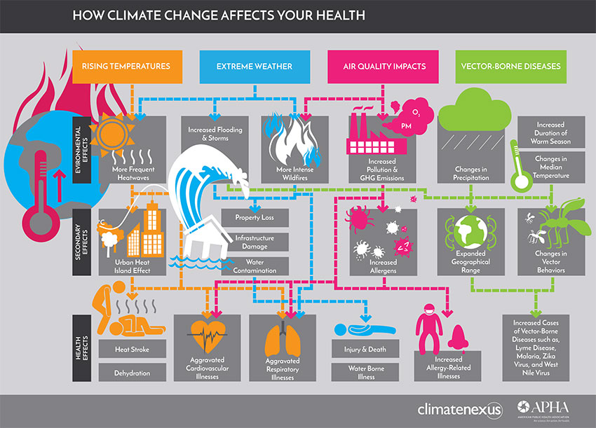 How Climate Change Affects Health