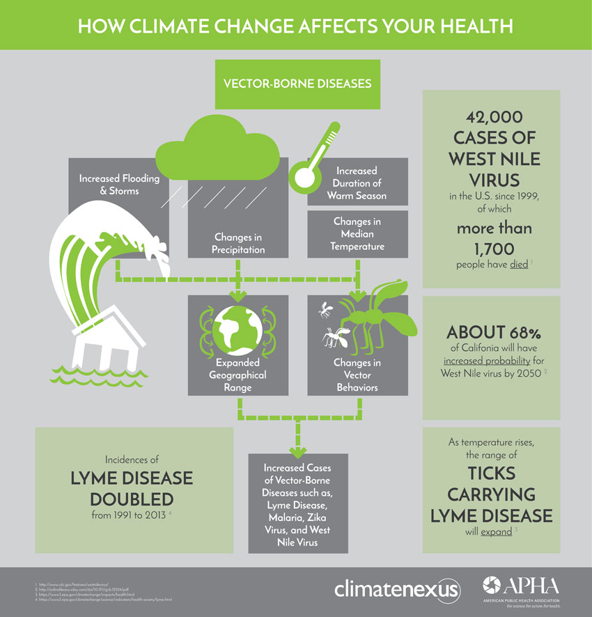 How Climate Affects Health Vector Borne Diseases